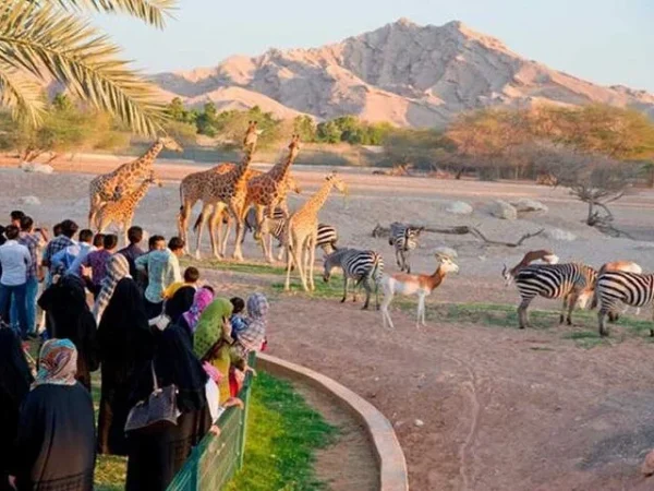 al-ain-zoo